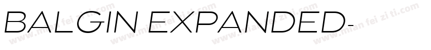 BALGIN EXPANDED字体转换